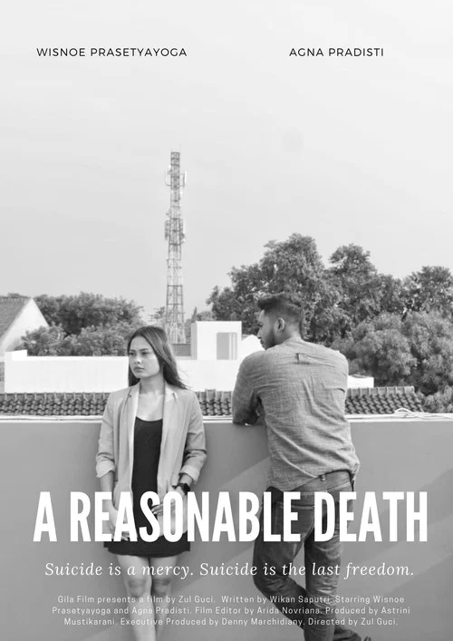 A Reasonable Death постер