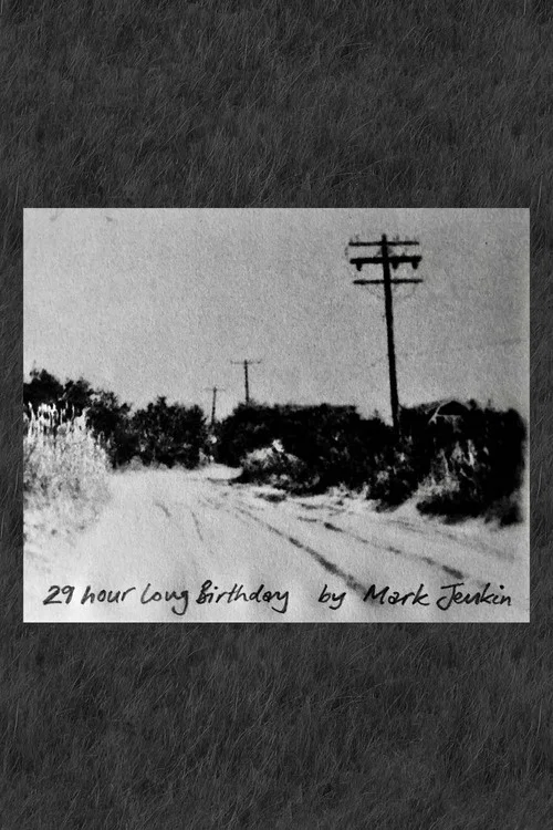 29 Hour Long Birthday постер