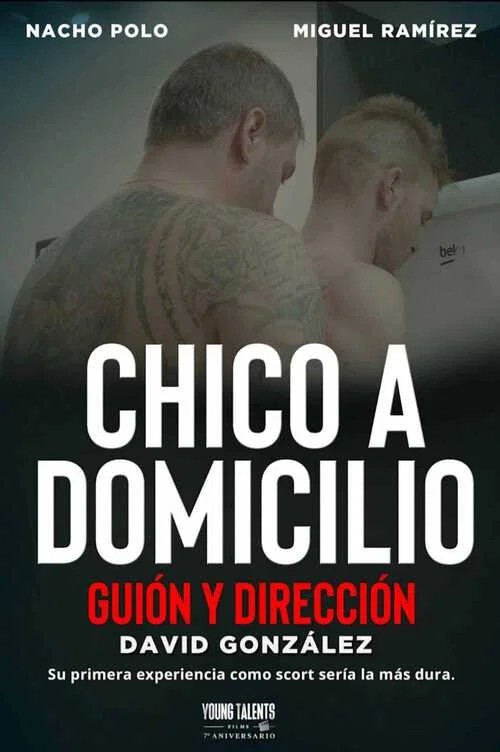 Chico a domicilio постер