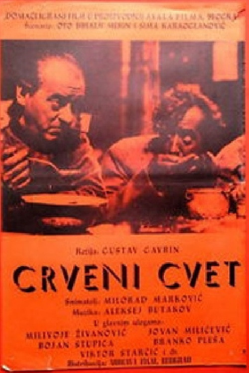 Crveni cvet постер