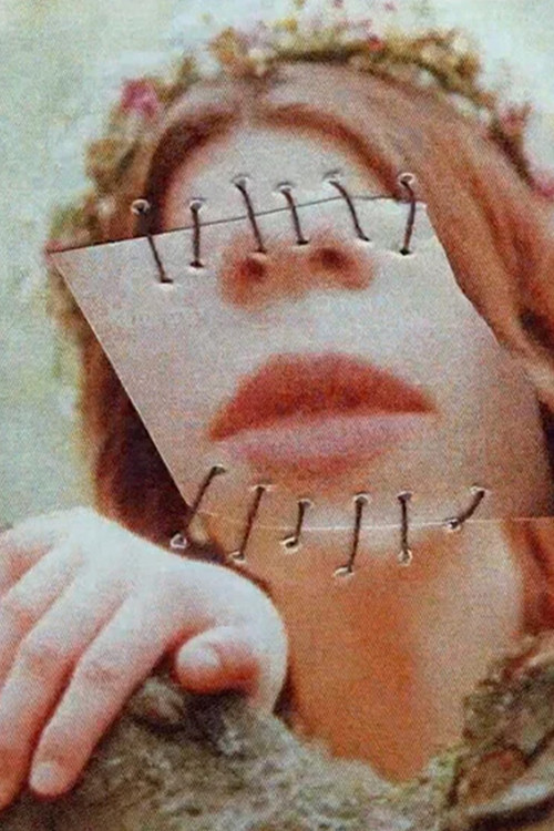 Lost Pieces of Her постер