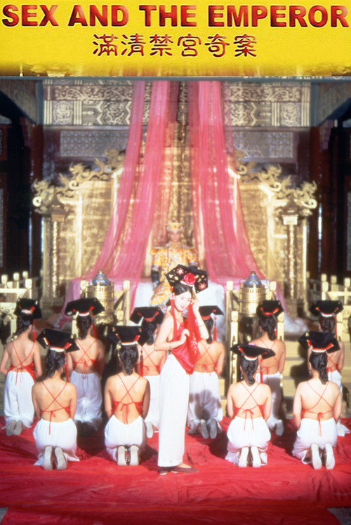 满清禁宫奇案 постер