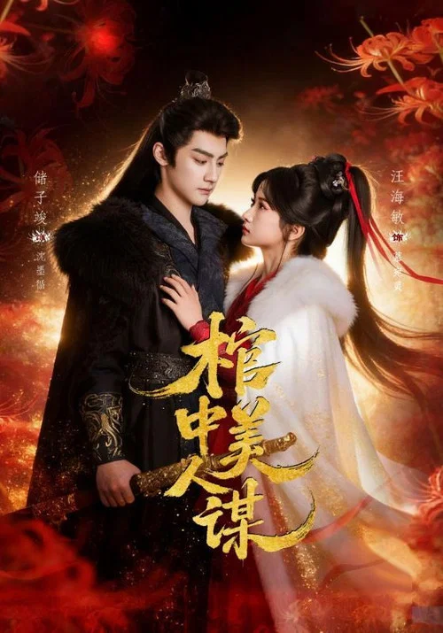 棺中美人谋 постер