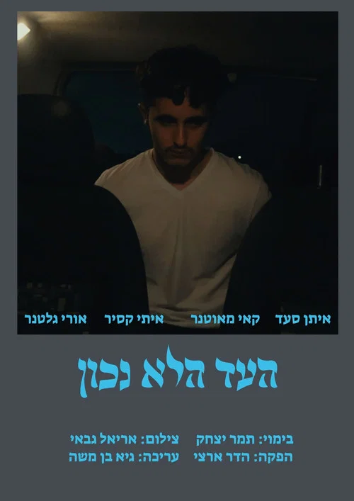 העד הלא נכון постер