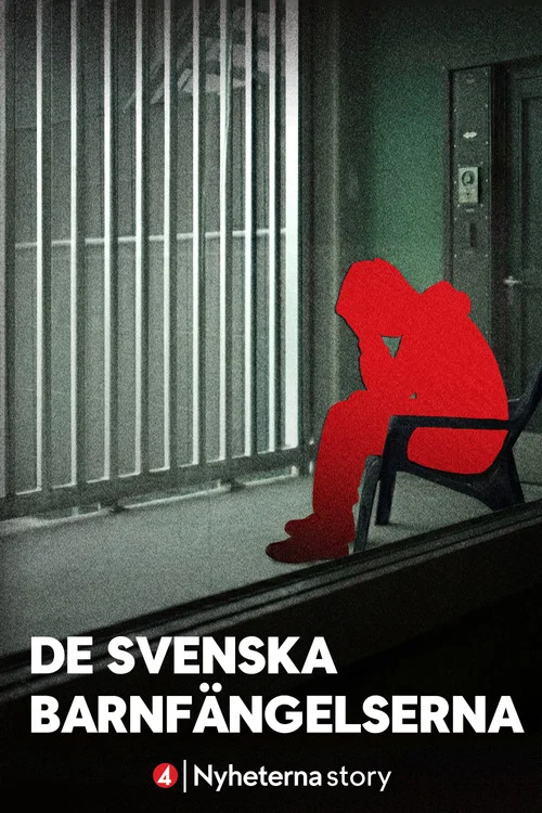 De svenska barnfängelserna постер