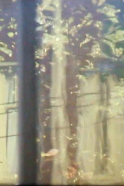 Windchimes, Window, Tree постер