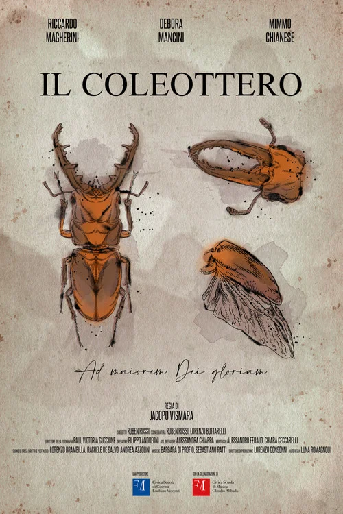 Il Coleottero постер