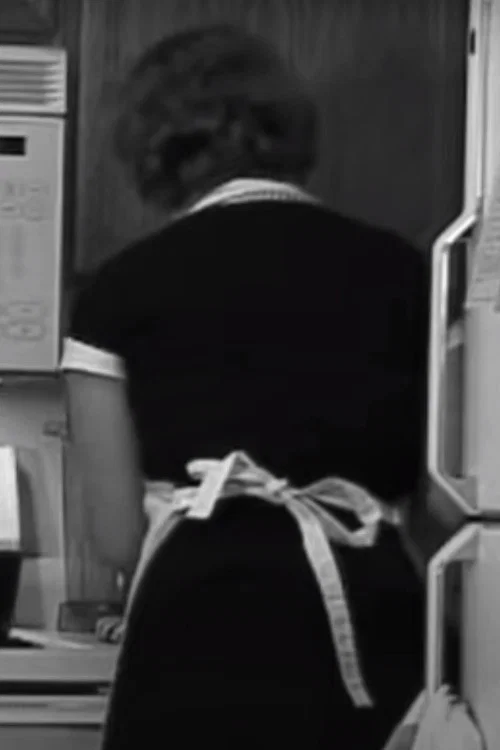 Good Wife's Guide Training Video постер