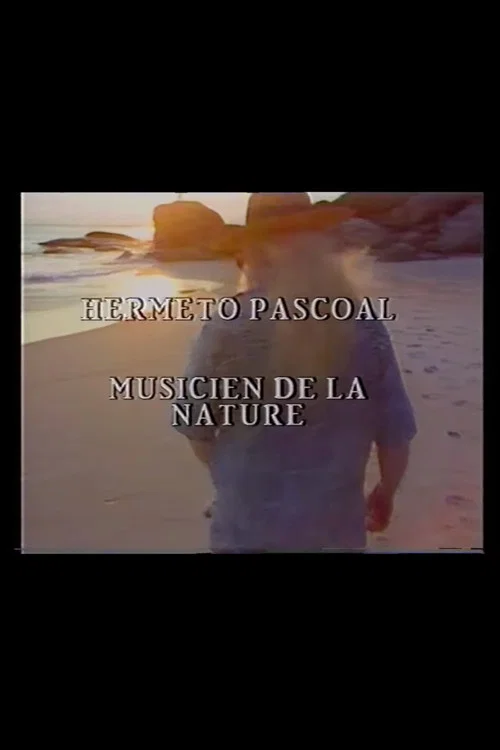 Hermeto Pascoal - Musicien de la Nature постер