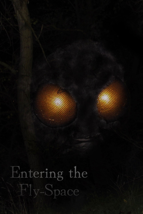 Entering the Fly-Space постер