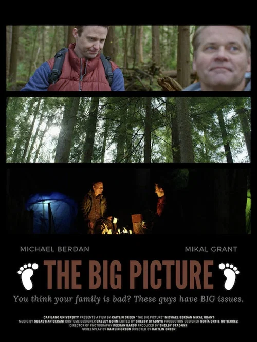 The Big Picture постер