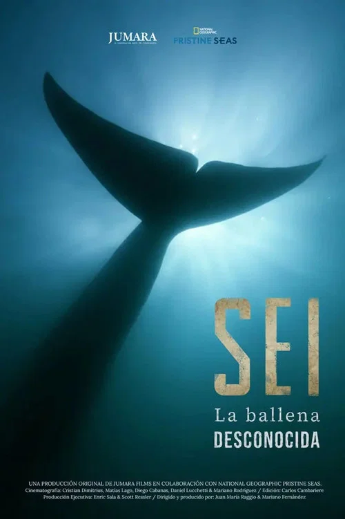 Sei La Ballena Desconocida постер