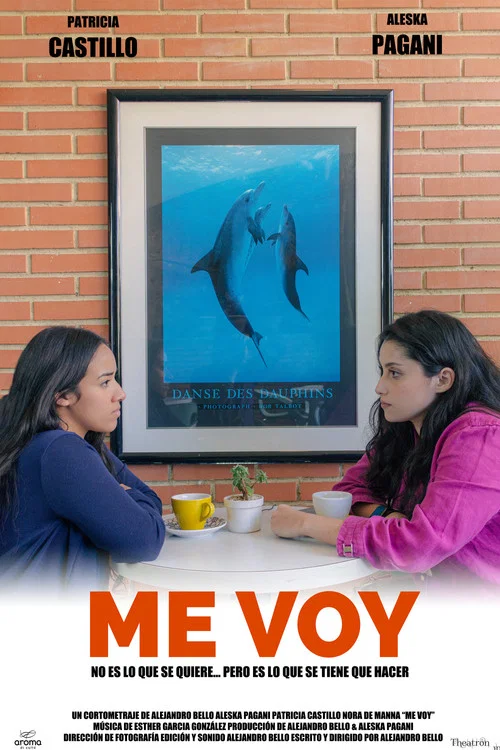 Me voy постер