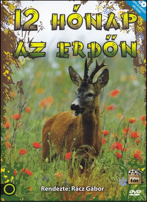 12 hónap az erdőn постер