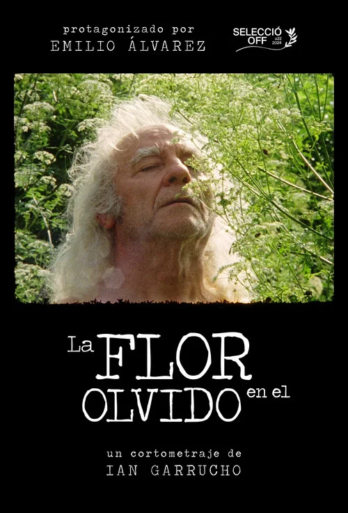 La flor en el olvido постер