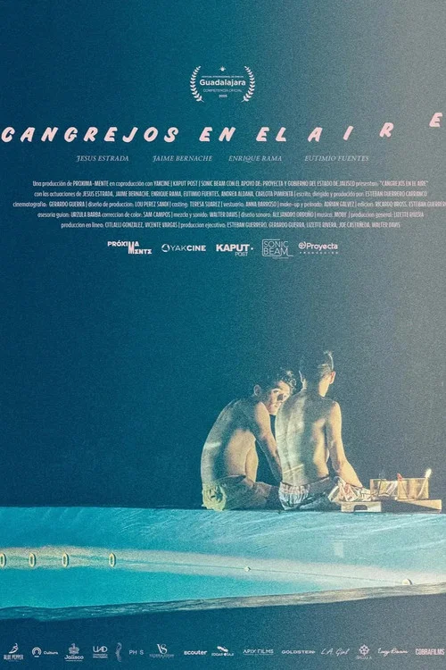 Cangrejos en el aire постер