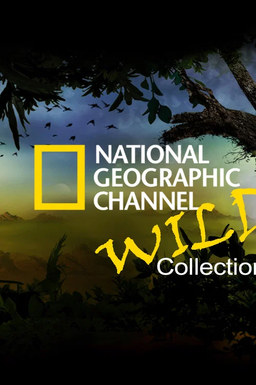 National Geographic Channel: Wild постер
