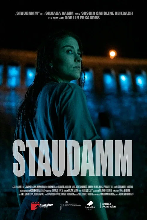 Staudamm постер