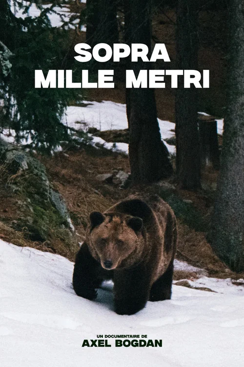 Sopra Mille Metri постер