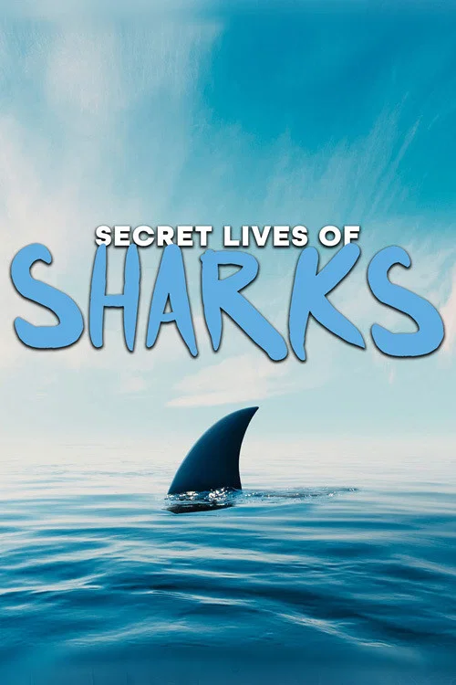 The Secret Lives of Sharks постер