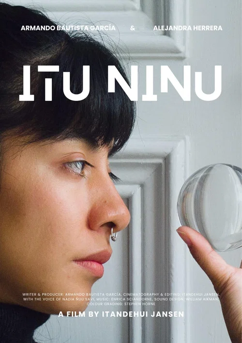 Itu Ninu постер