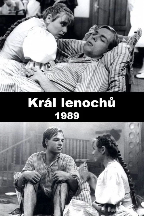 Král lenochů постер
