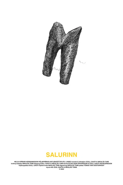 Salurinn постер