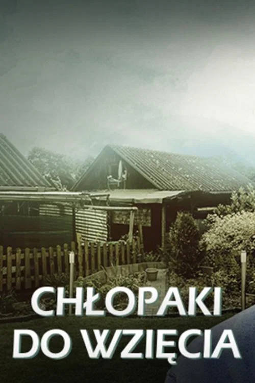Chłopaki do wzięcia постер