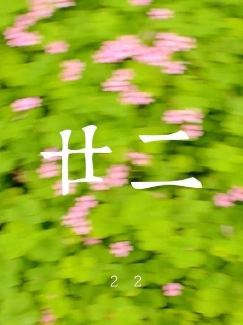 廿二 постер