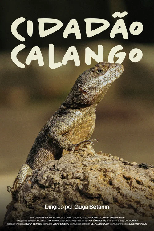Cidadão Calango постер
