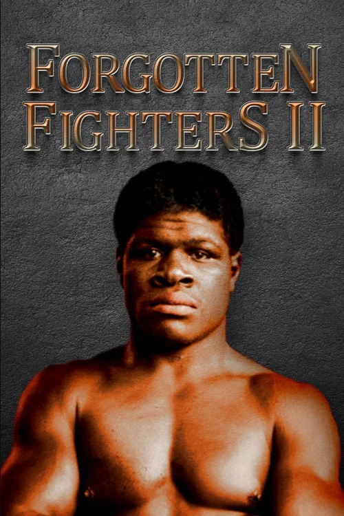 Forgotten Fighters II постер