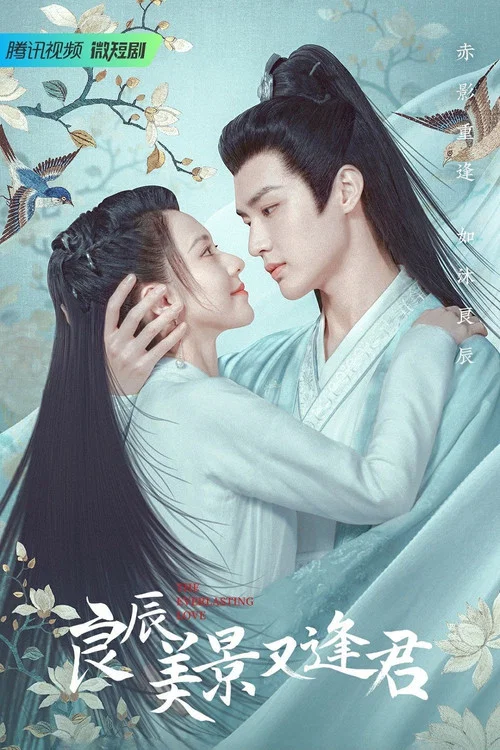 良辰美景又逢君 постер
