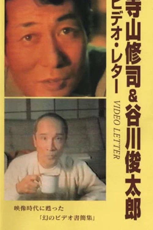 ビデオ・レター постер