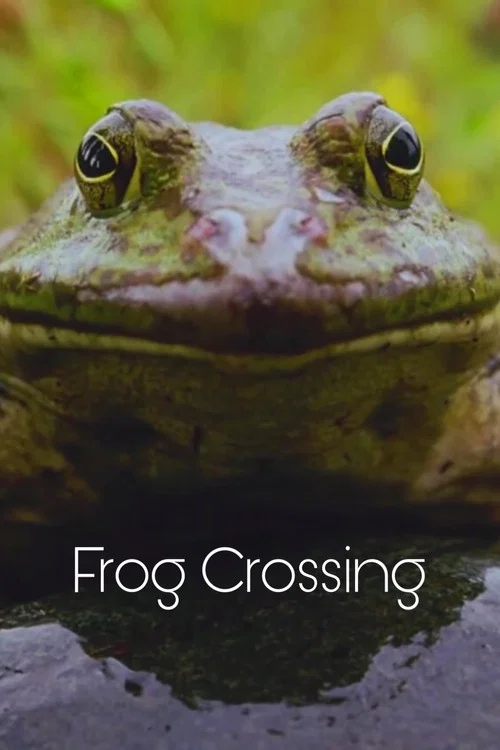 Frog Crossing постер