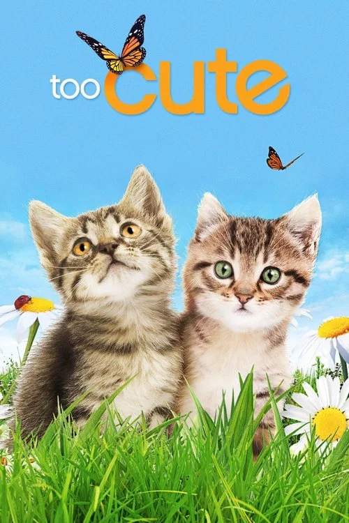 Too Cute постер