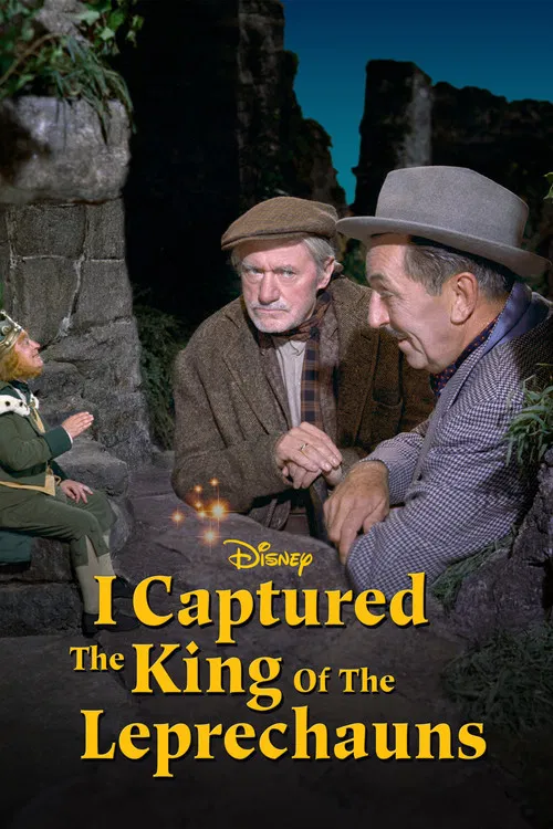 I Captured the King of the Leprechauns постер
