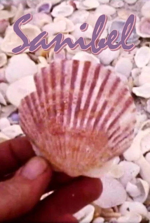 Sanibel постер