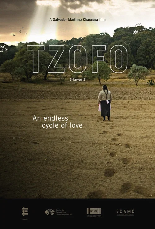 Tzofo постер