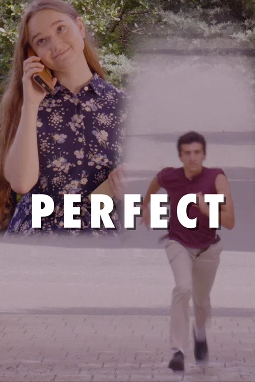 Perfect постер
