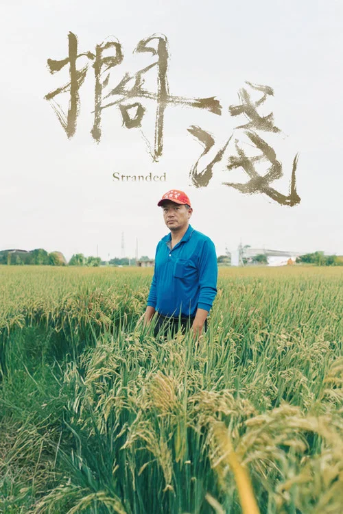 擱淺 постер