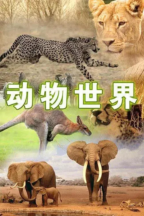 动物世界 постер