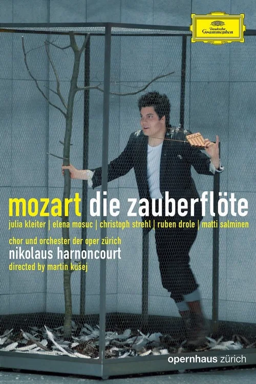 Die Zauberflöte постер