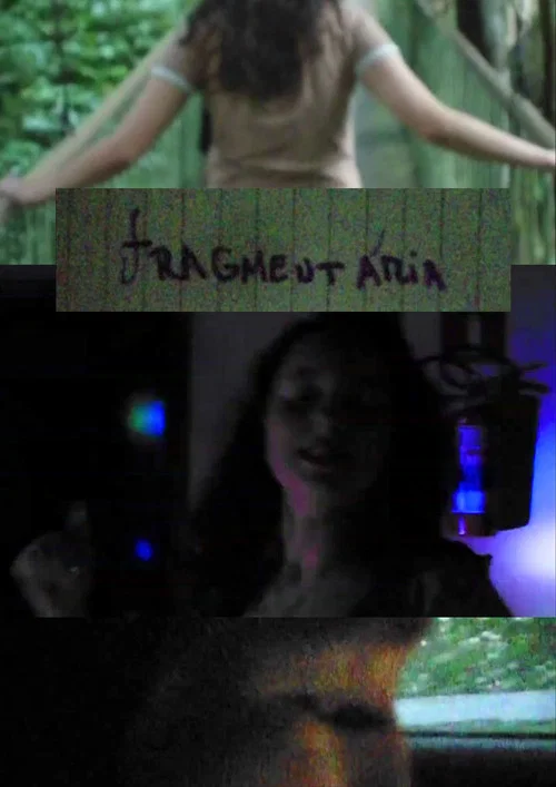 Fragmentária постер