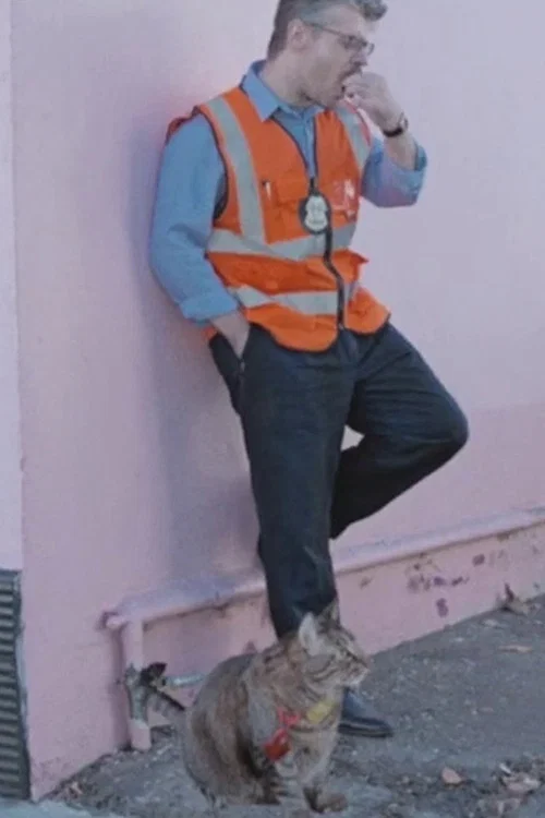 BortCop постер