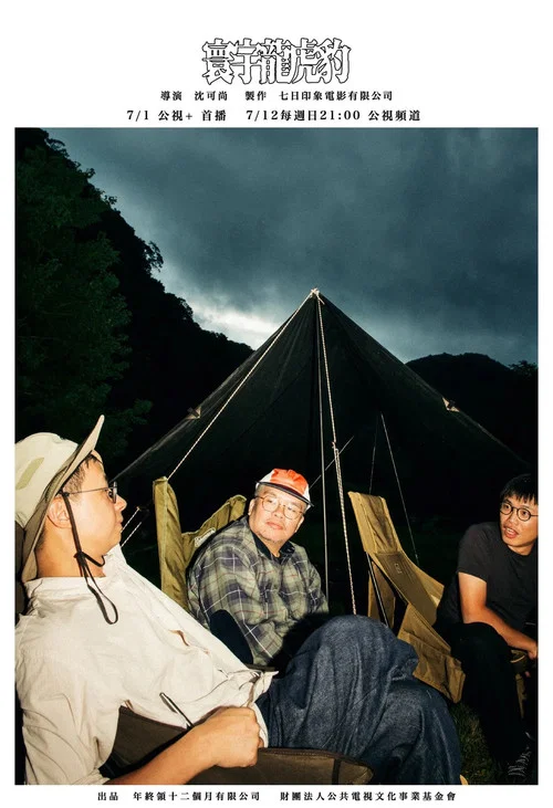 寰宇龍虎豹 постер