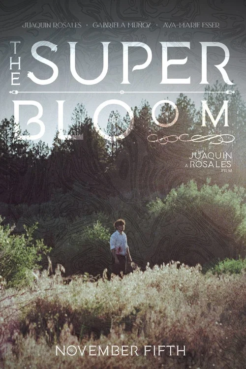 The Superbloom постер