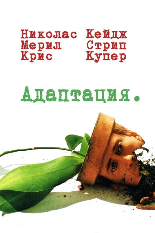 Адаптация постер