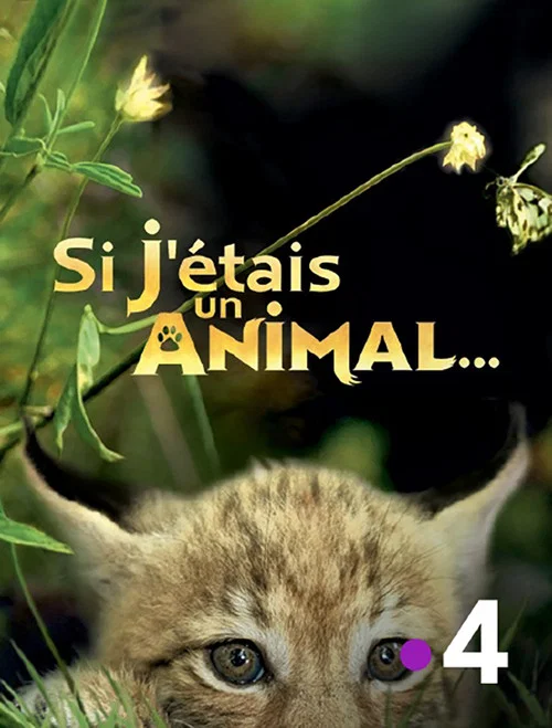 Si J'étais un animal постер