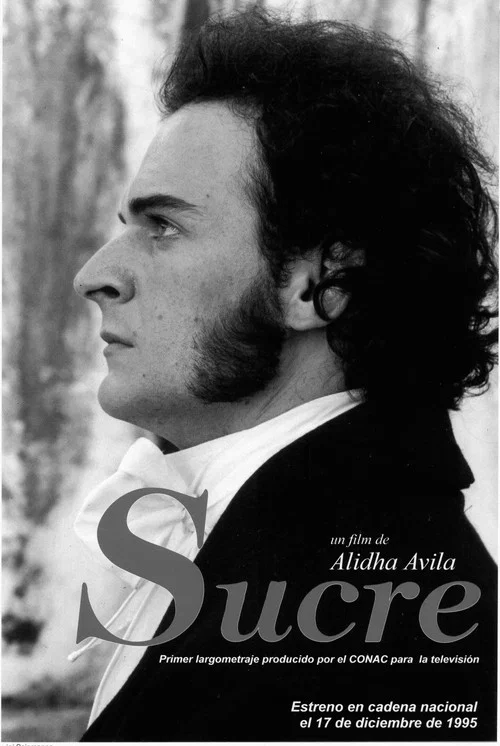 Sucre постер