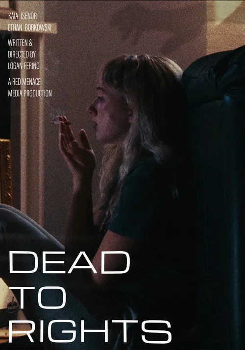Dead to Rights постер